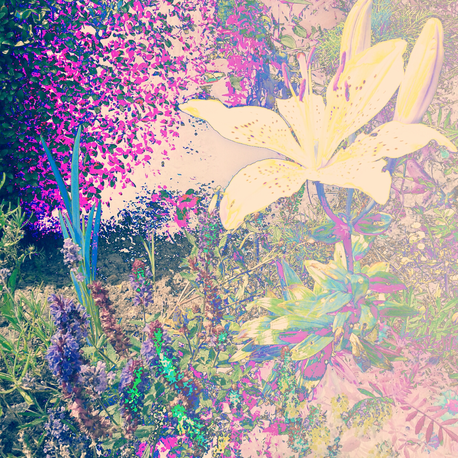 Picsart profile picture for @tara