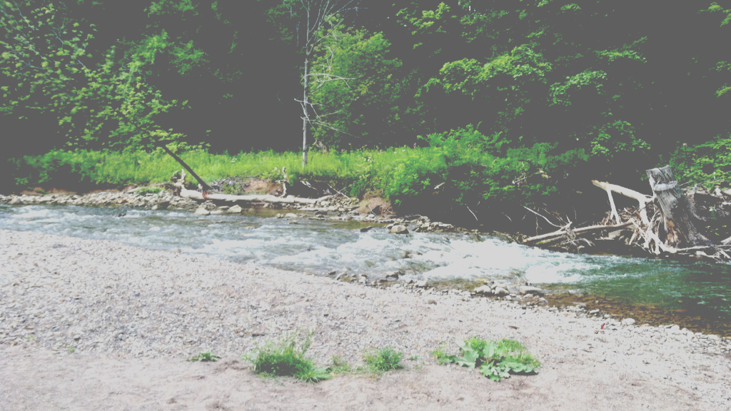 Picsart banner for @sinking